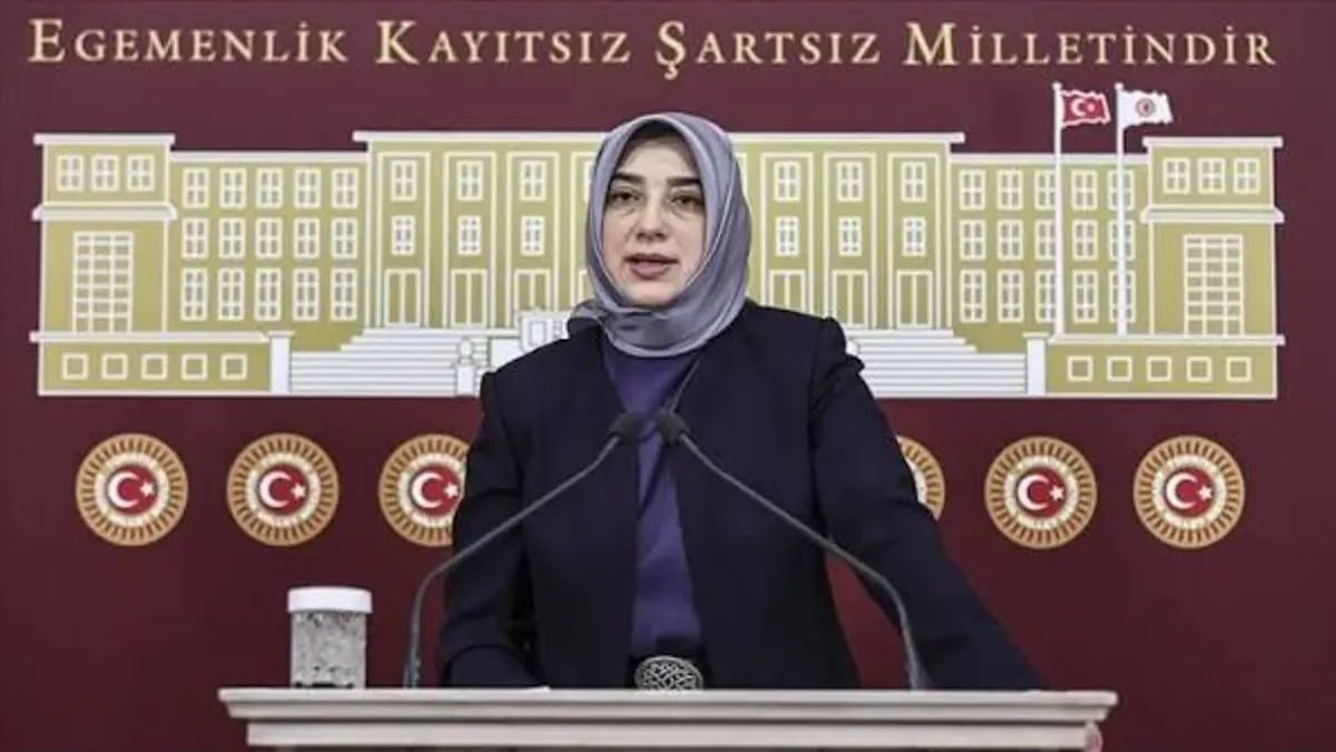 Öğrenci Affında Kritik Gün: Düzenleme TBMM'ye Sunuluyor