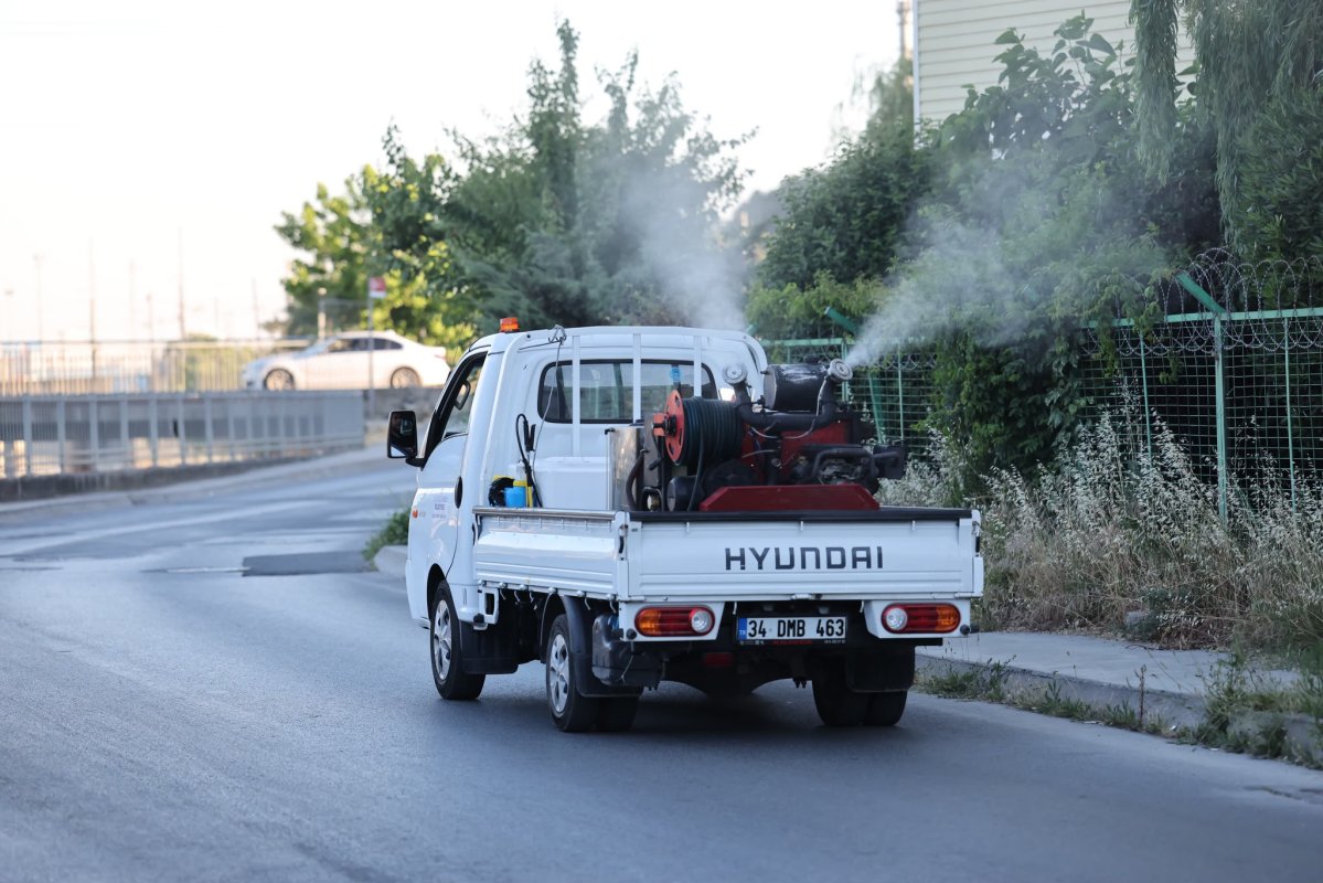 Küçükçekmece’de sivrisineklere karşı ilaçlama seferberliği