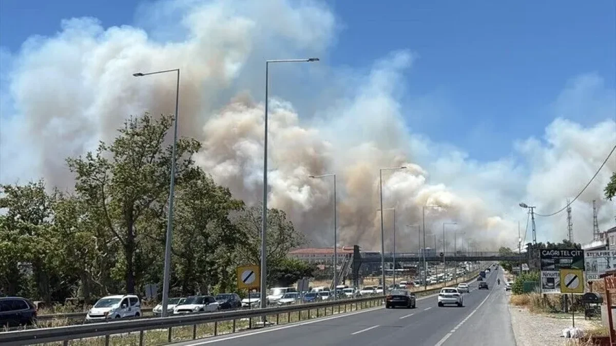Silivri'de Korkutan Arazi Yangını: Bin Dönüm Alan Zarar Gördü, 11 Ev Tahliye Edildi